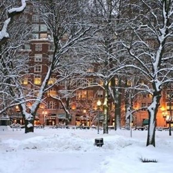 Meet your Posher, Juliane - Picture 1 of 1